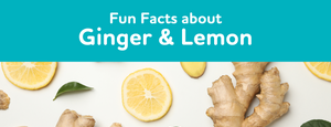 Fun Facts about Ginger & Lemon!