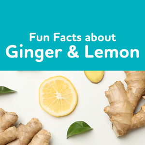 Fun Facts about Ginger & Lemon!