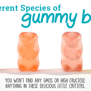 Meet the Gluten Free Gummy Bears-YumEarth