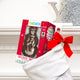 holiday chocolate snowman